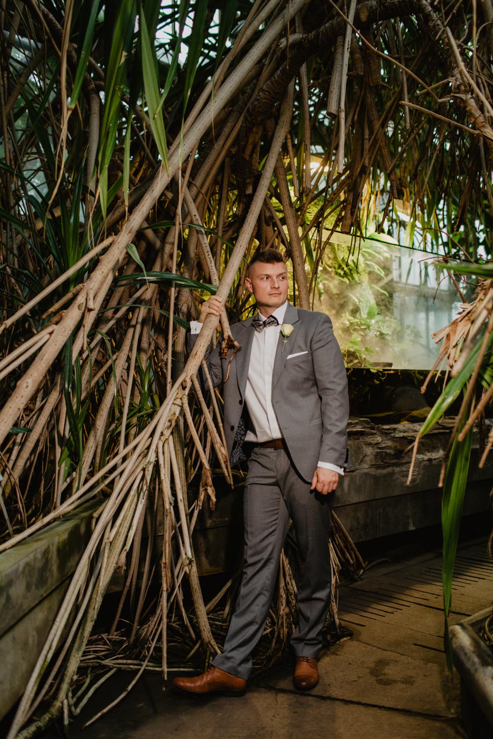 Sesja ślubna w Palmiarni oraz w Pałacu Baborówko | Magdalena i Karol