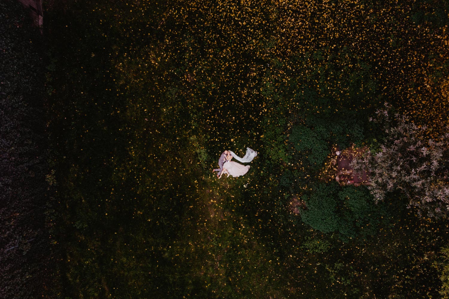 Sesja ślubna w Palmiarni oraz w Pałacu Baborówko | Magdalena i Karol