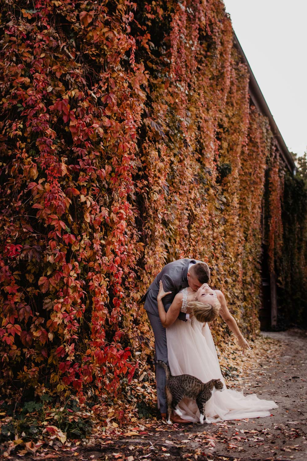 Sesja ślubna w Palmiarni oraz w Pałacu Baborówko | Magdalena i Karol