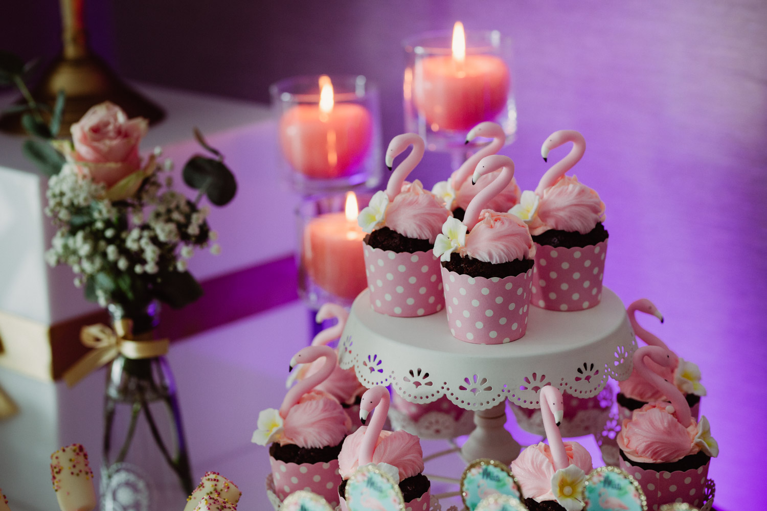 Hotel Herbarium, zdjęcia na urodzinkach, reportaż z urodzinek