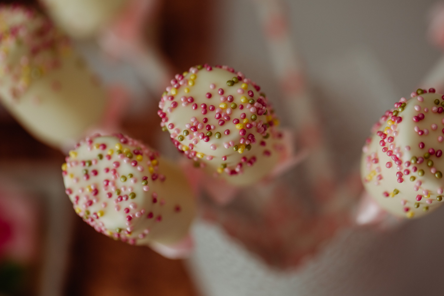 Hotel Herbarium, zdjęcia na urodzinkach, reportaż z urodzinek