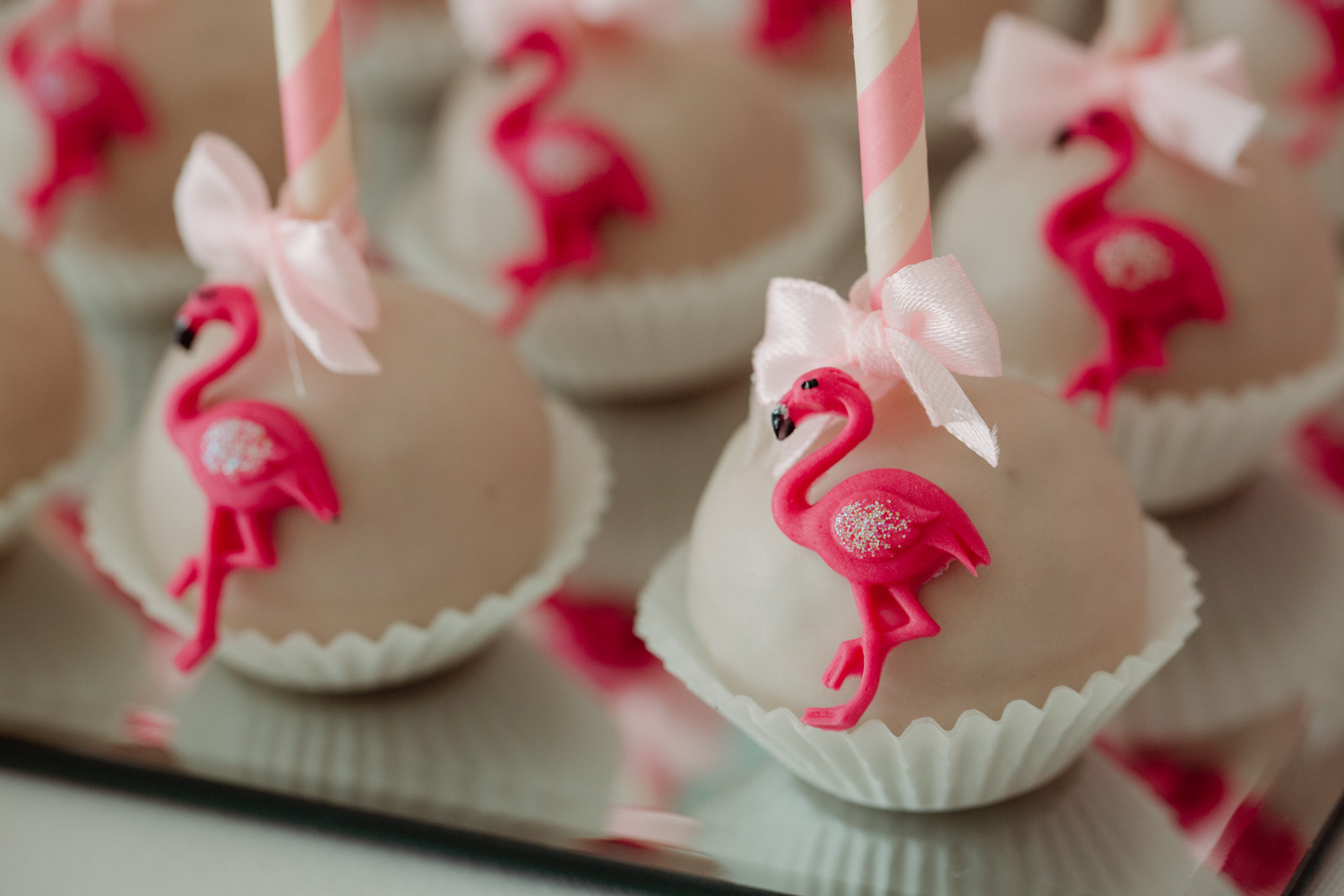 Hotel Herbarium, zdjęcia na urodzinkach, reportaż z urodzinek