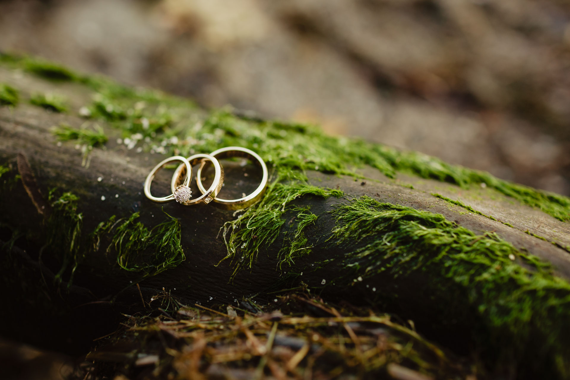 Sesja ślubna w Zamku w Rzucewie nad morzem | Patrycja i Ariel