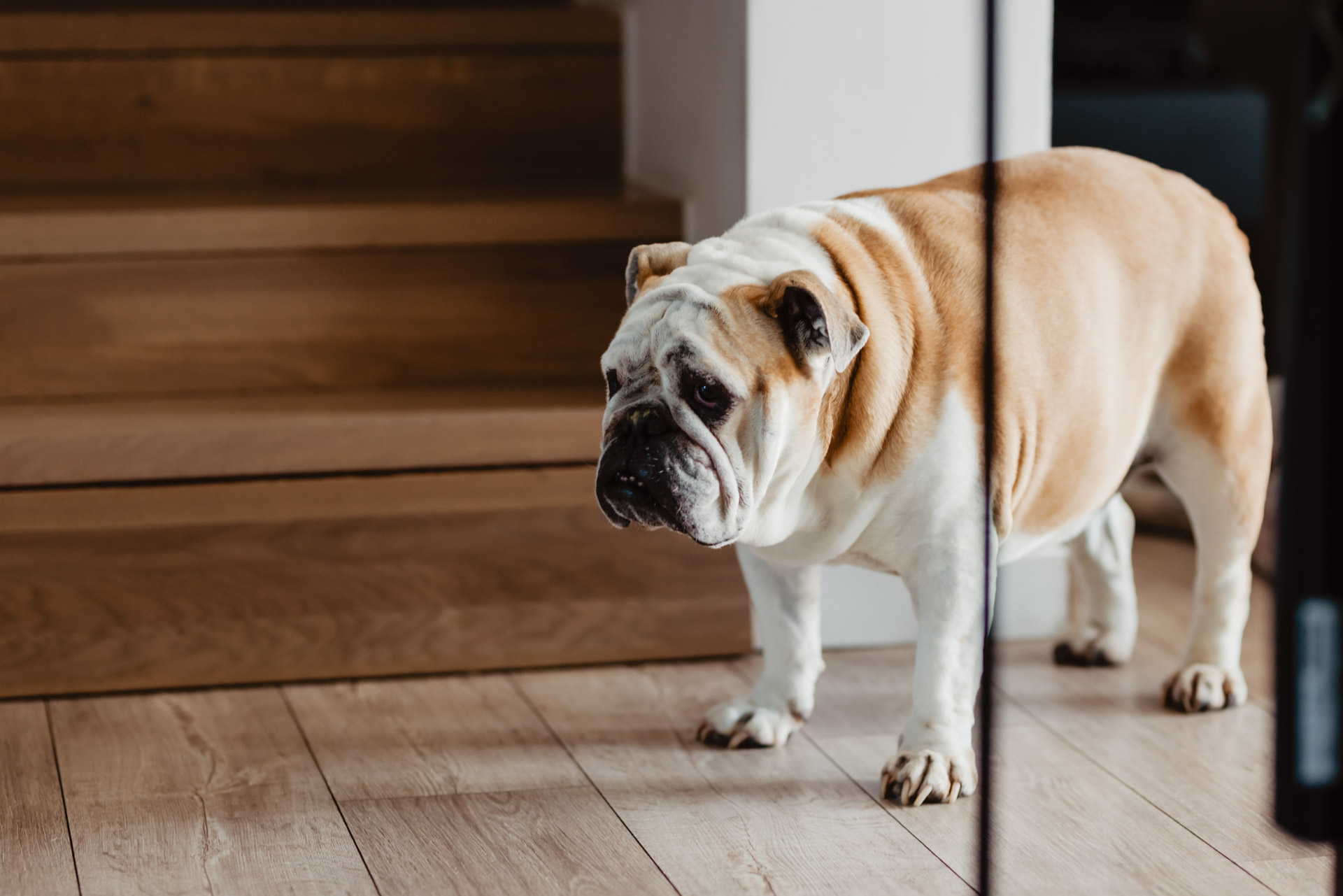 Wesele w Dworze Fijewo w Golubiu-Dobrzyniu | Katarzyna i Krzysztof