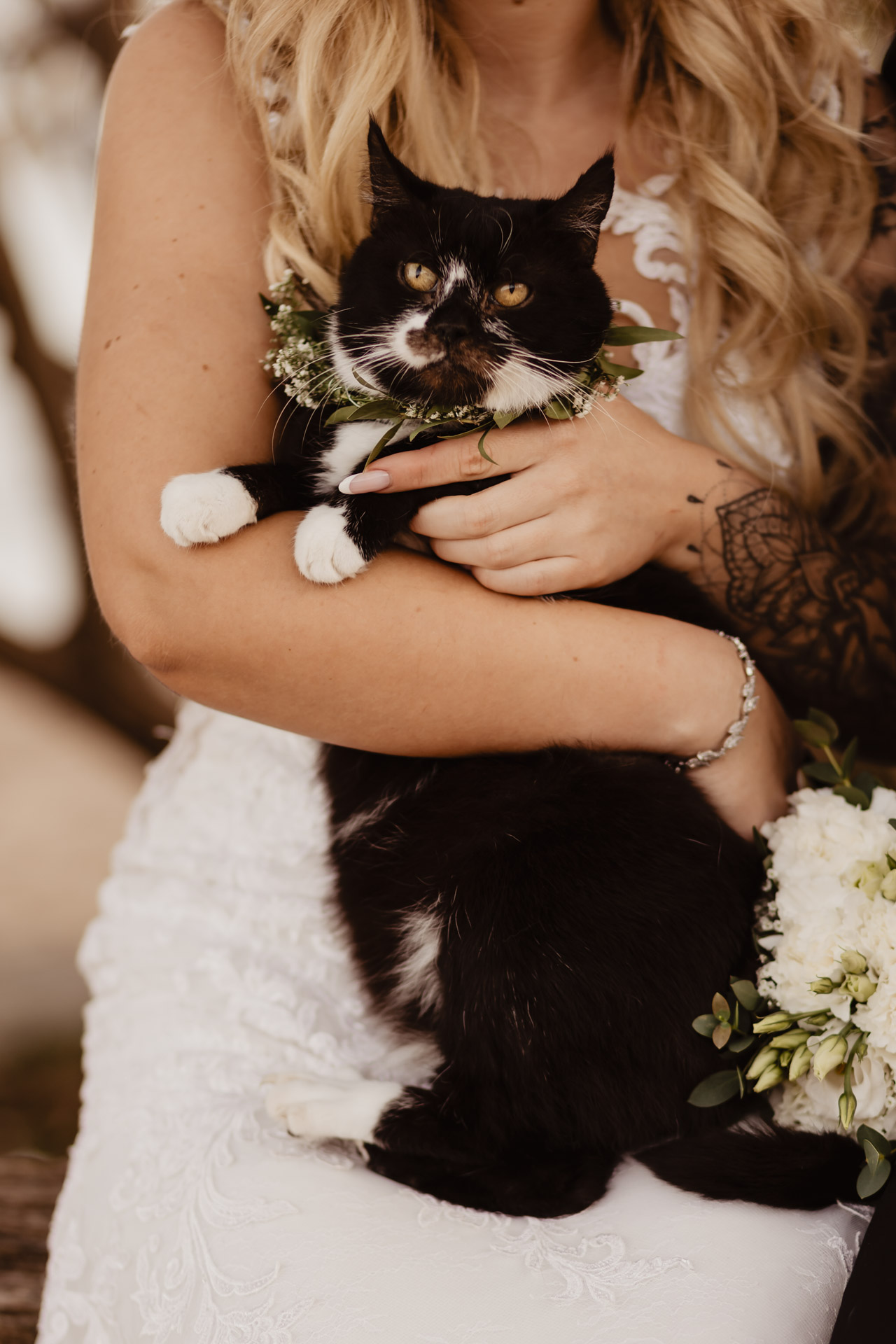 Sesja ślubna nad morzem ze zwierzakami | Klaudia i Piotrek